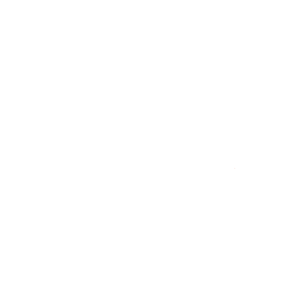 Events Guys logo